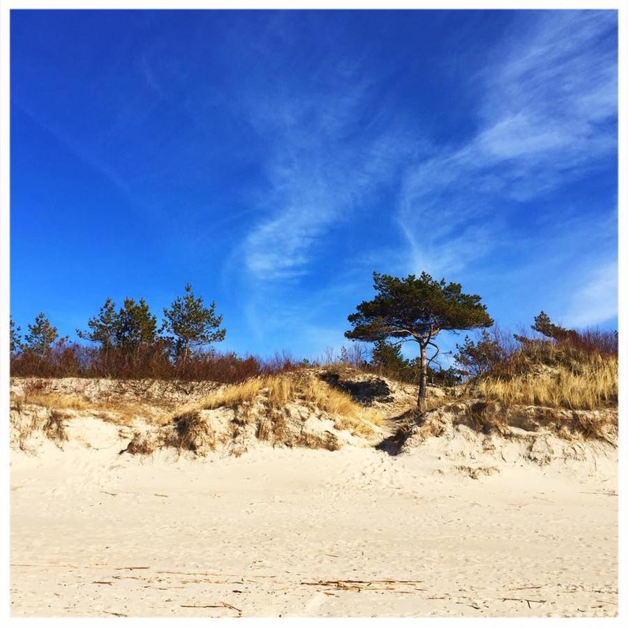 Vitavila Palanga Luaran gambar